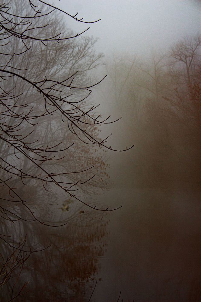 Photograph by Нелли Золотая