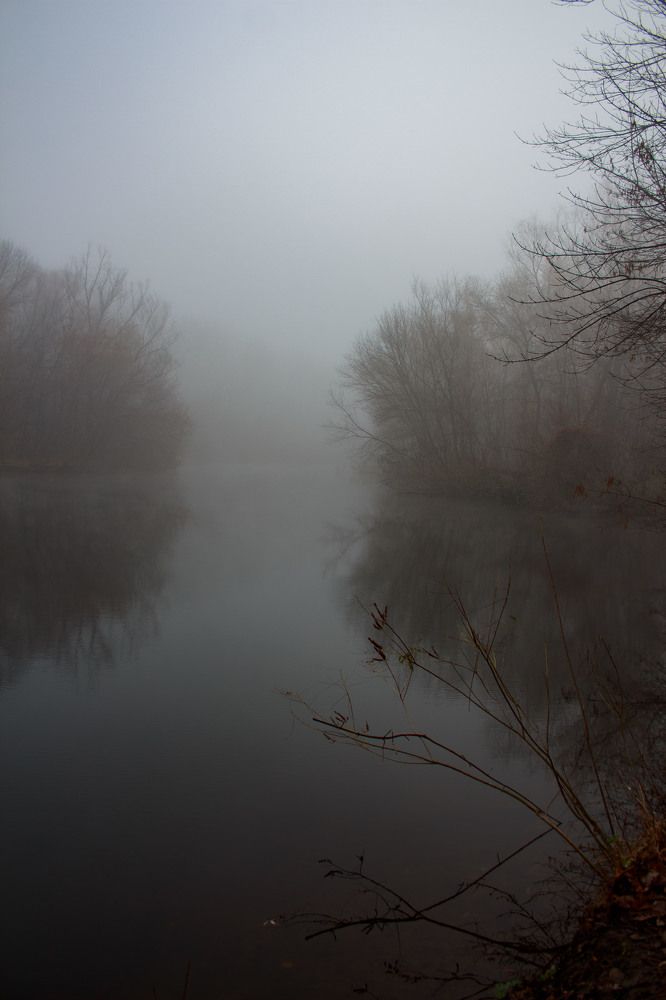 Photograph by Нелли Золотая