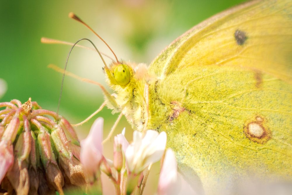 Photograph by Bruno Ribeiro