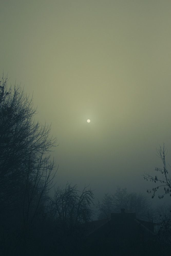 Photograph by Нелли Золотая