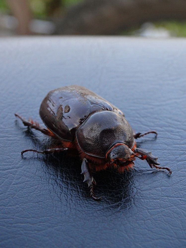 Photograph by Мария Широких