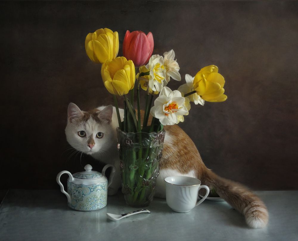 Photograph by Vera Eremeeva