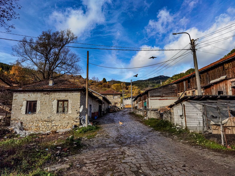 Photograph by Nikolay Draganov