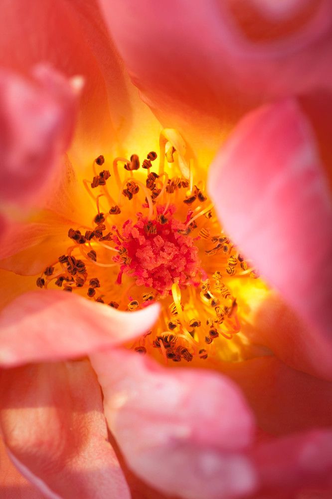 Photograph by Артур