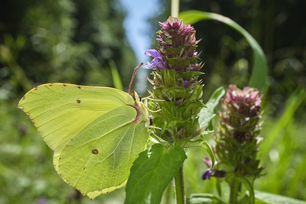 Фотография автора Eimar Kull