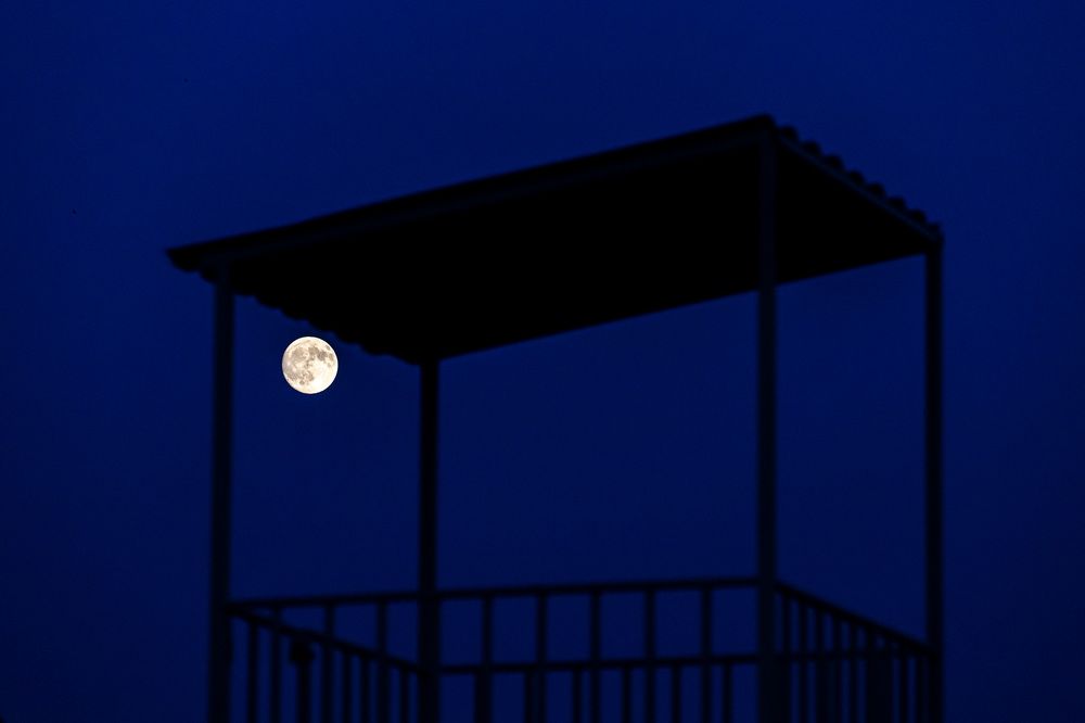 Photograph by Алеся Пчёлкина