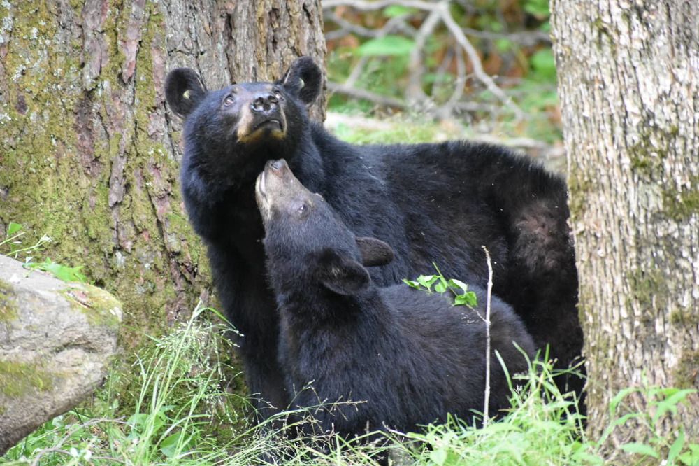 Photograph by Tyler Dewees