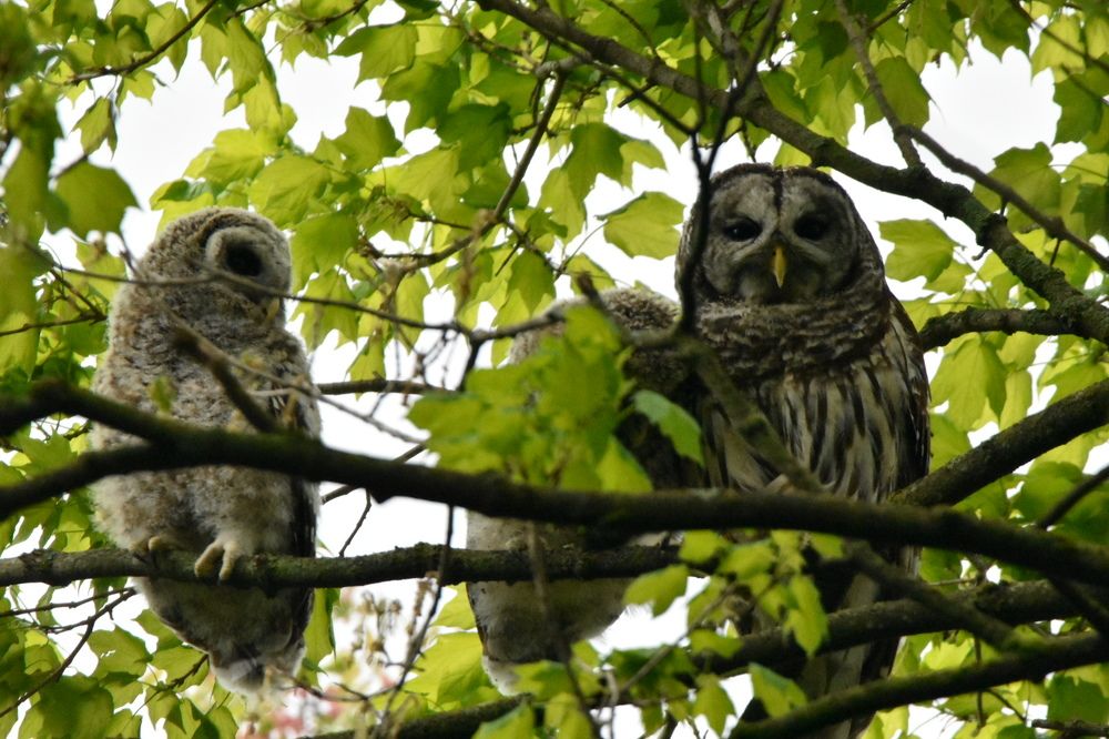 Photograph by Tyler Dewees