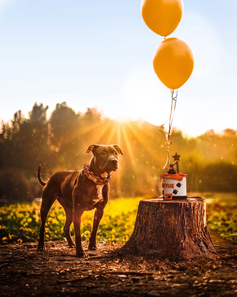 Photograph by Pooria Yavari