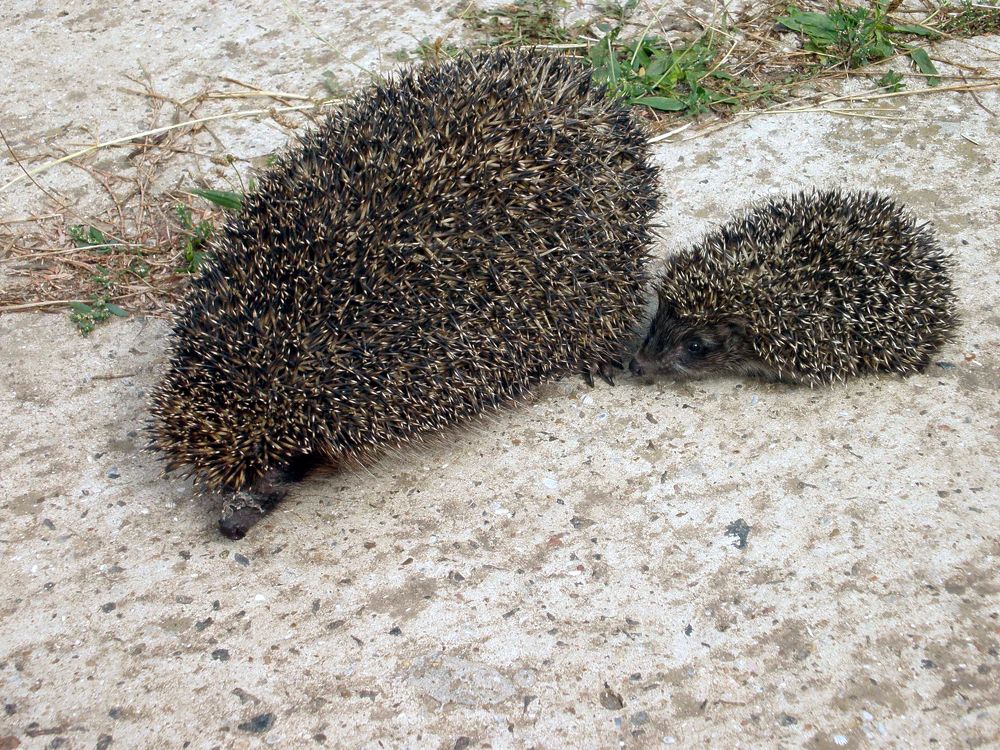 Photograph by Савоцкий Роман