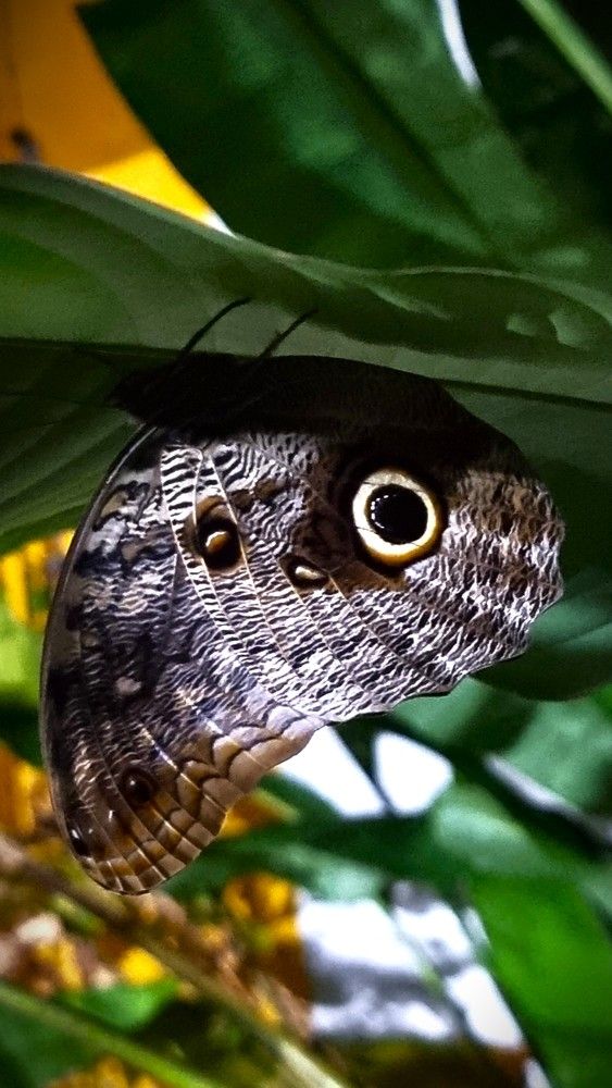 Photograph by Marie G