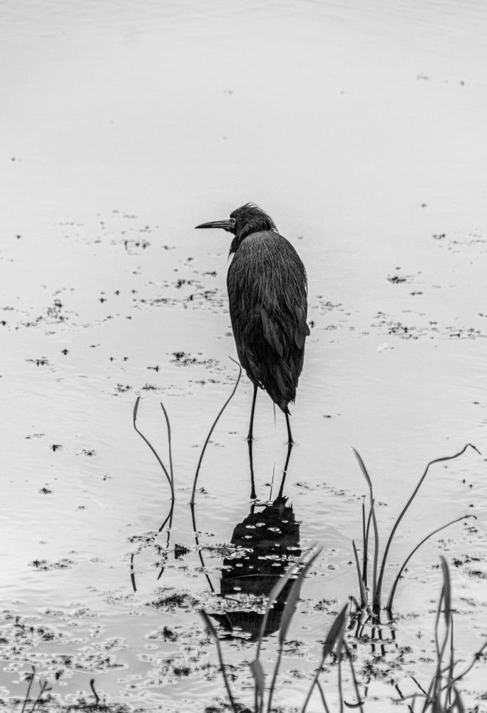 Photograph by Анатолий Костерев