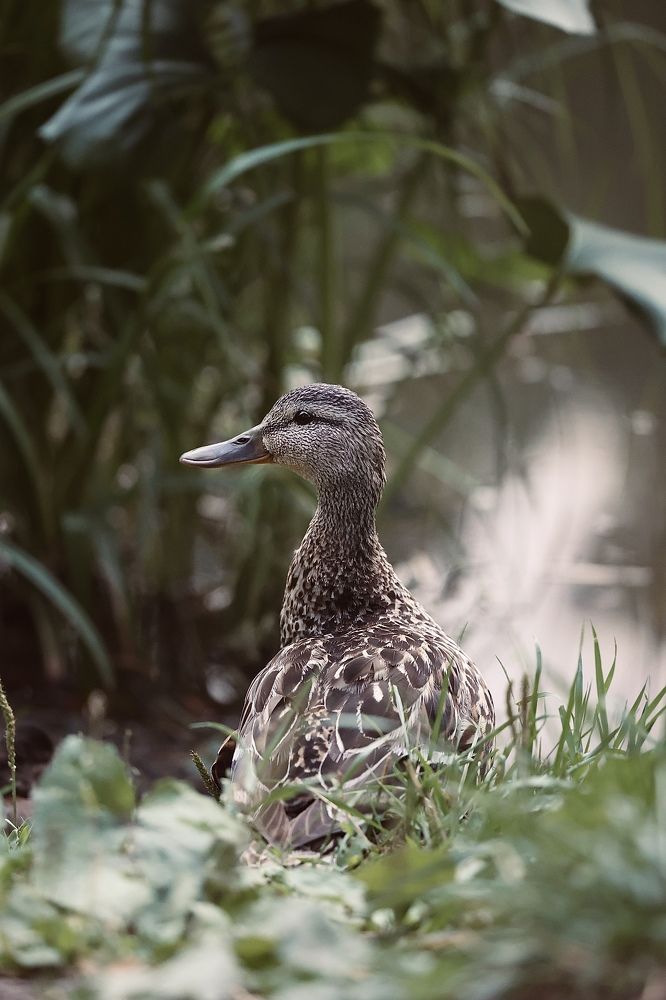 Photograph by Елена Виноградова