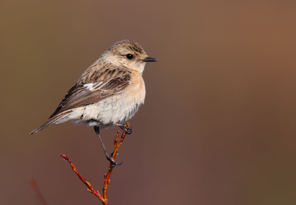 Photograph by Алексей