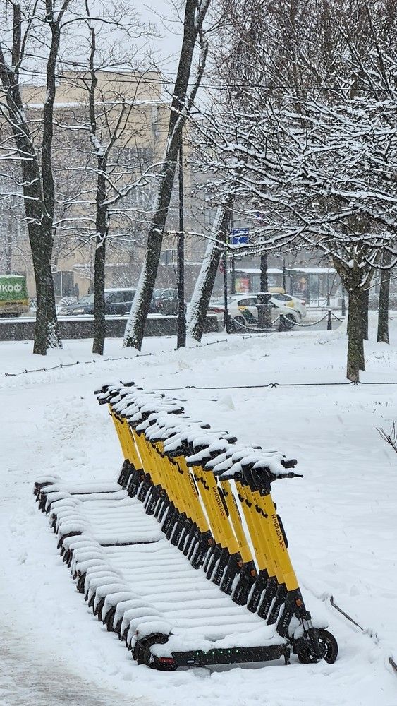 Фотография автора Нонна Подольская