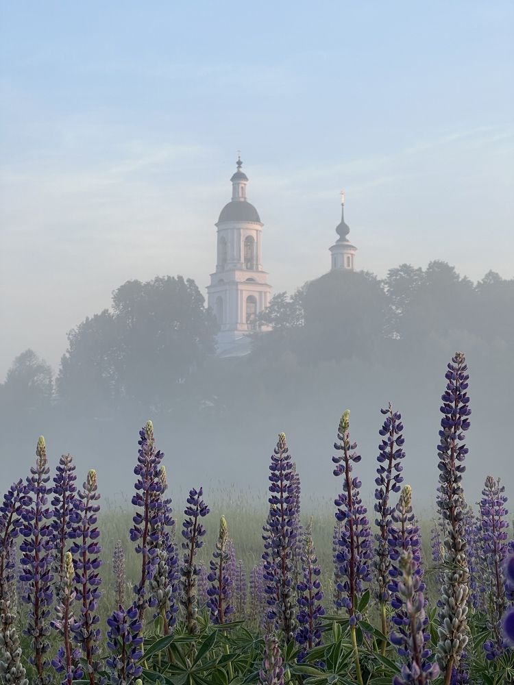 Photograph by Анастасия Юсова