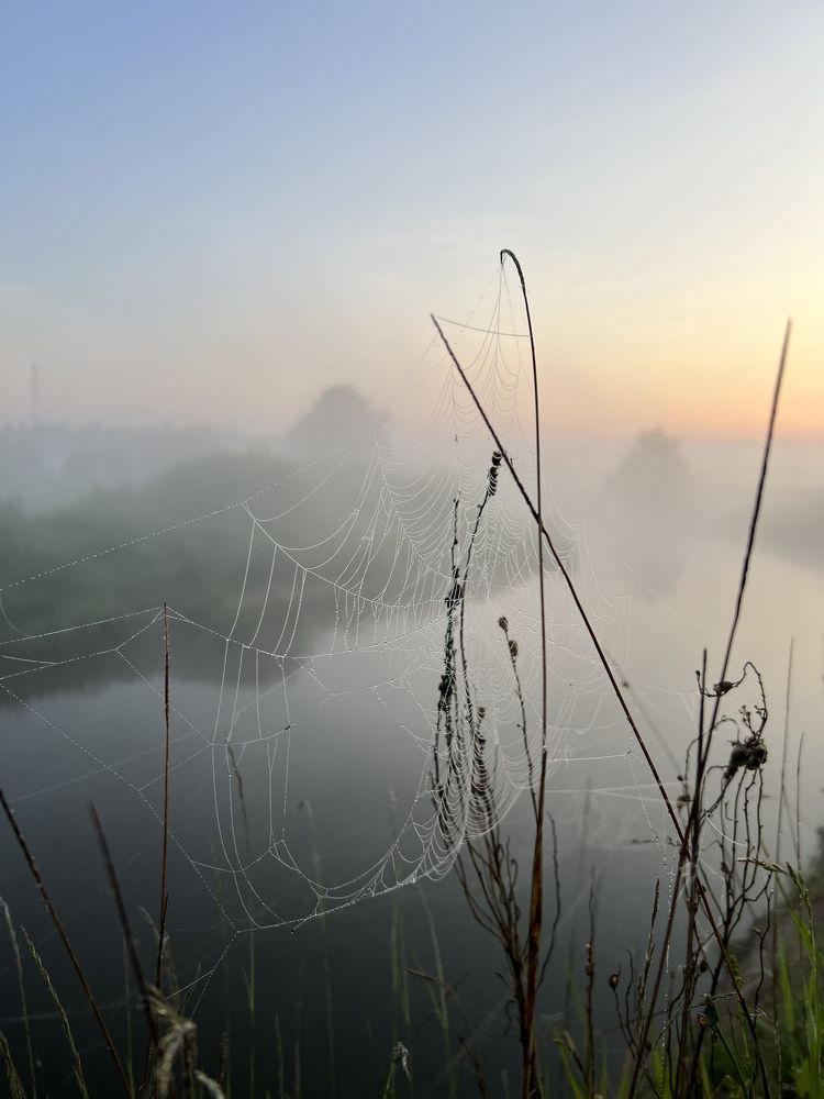 Photograph by Анастасия Юсова