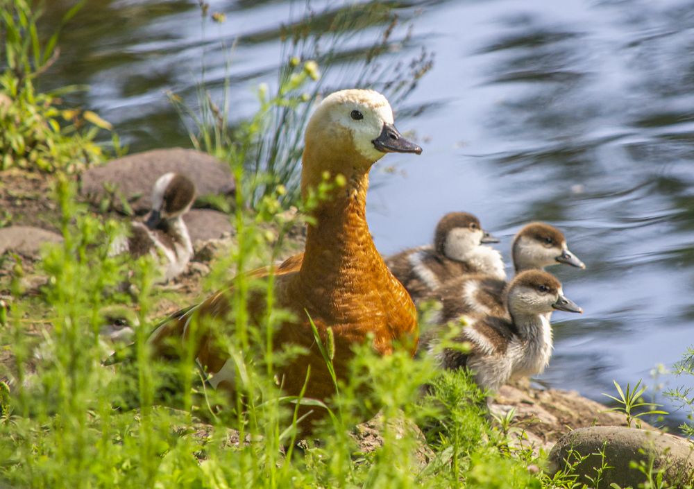 Photograph by Савчук Сергей