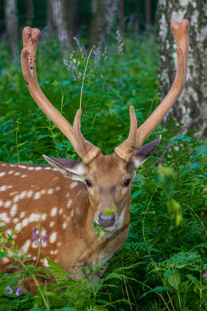 Photograph by Князев Сергей