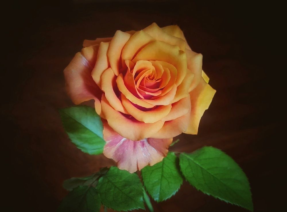Photograph by Елена Никитюк