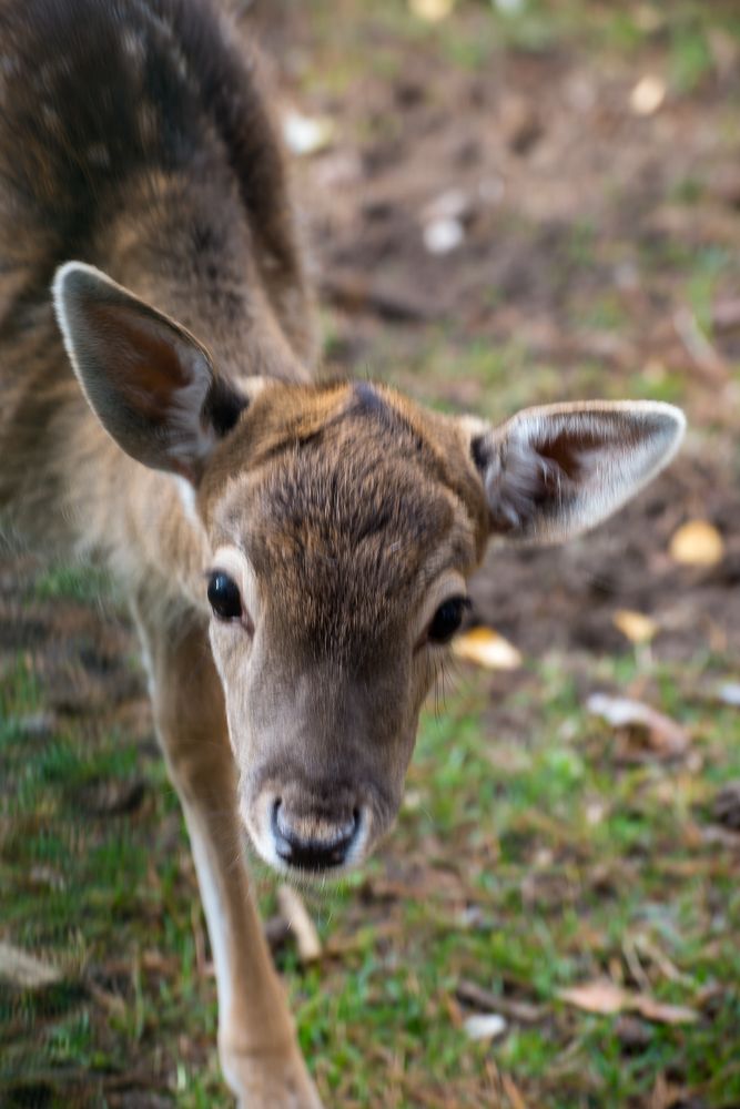 Фотография автора Ольга Круковская