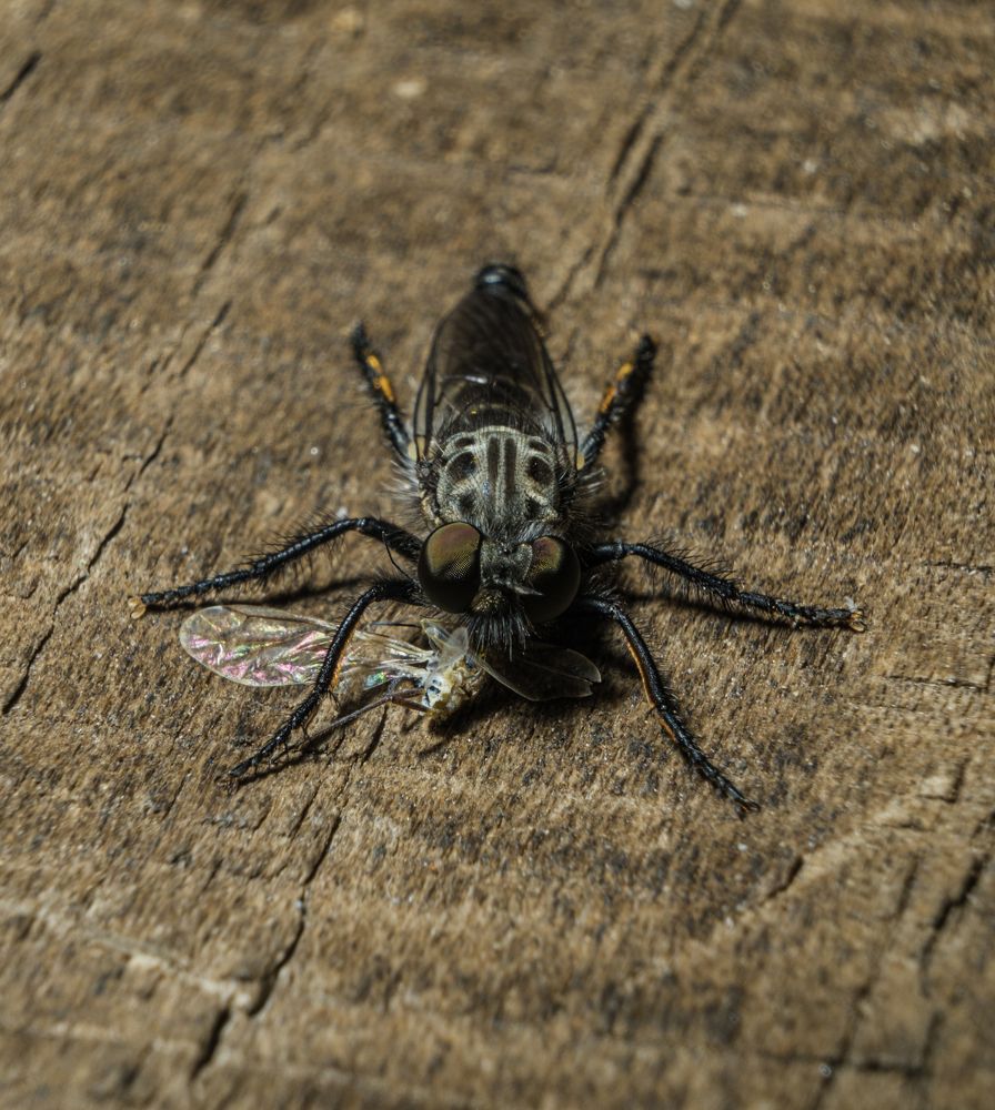 Photograph by Кирилл Рогов