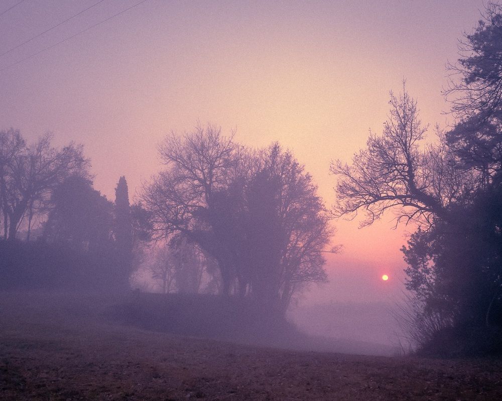 Photograph by Yulia Bilato