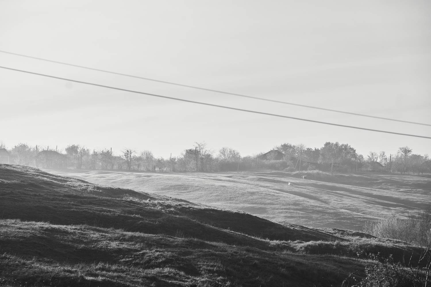 Photo #9323454