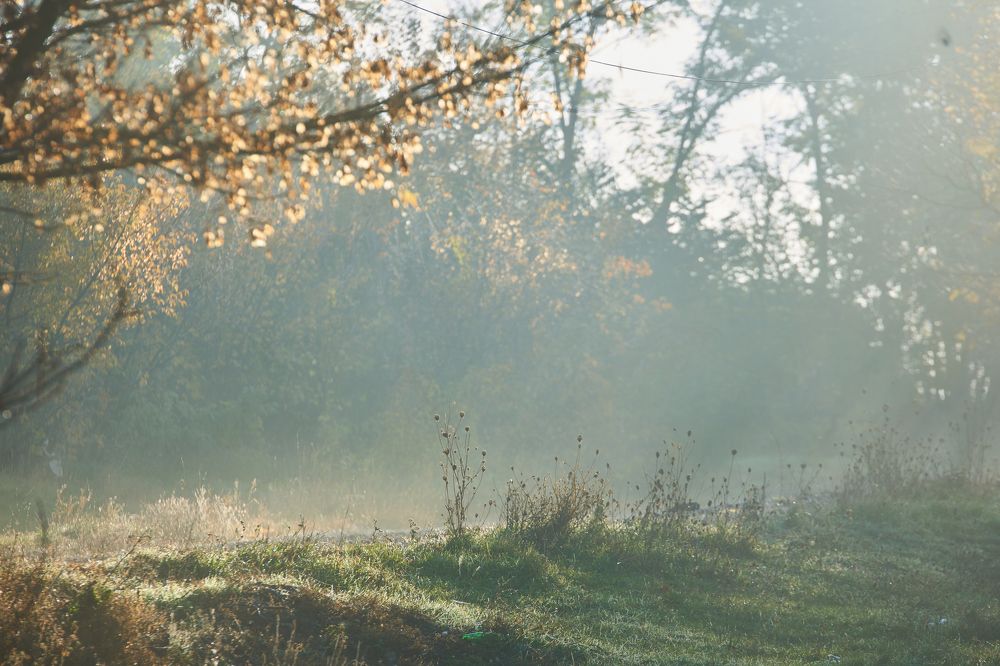 Photograph by Кристина Присакарь