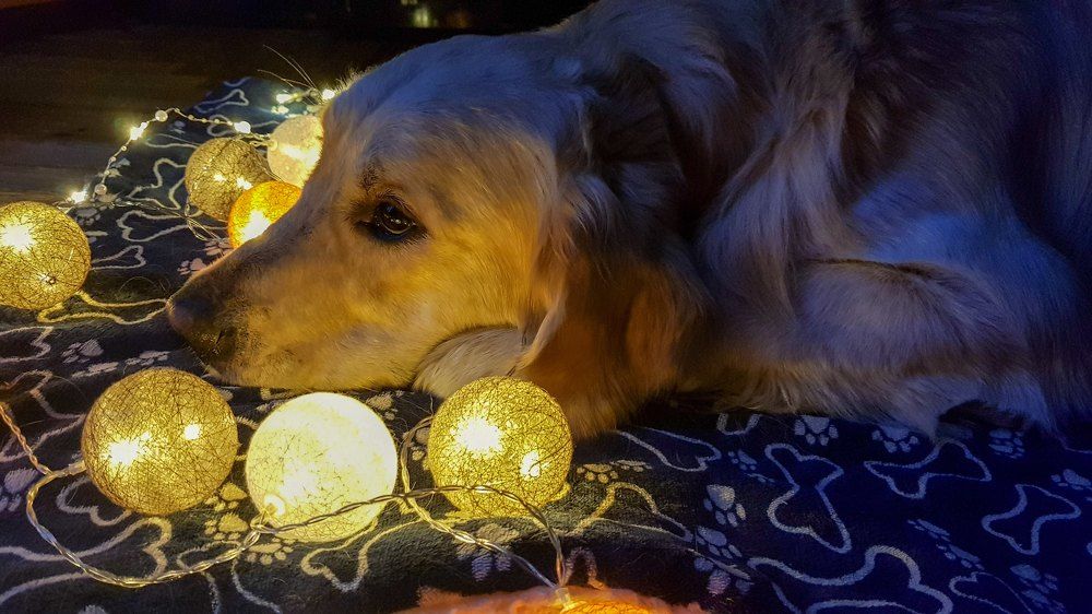 Photograph by Елена Ямнюк