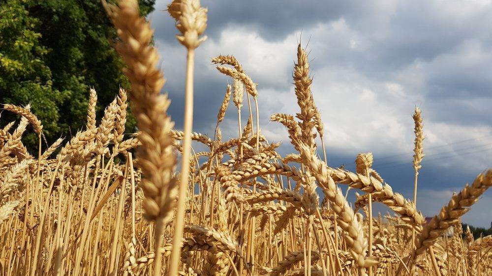 Photograph by Елена Ямнюк