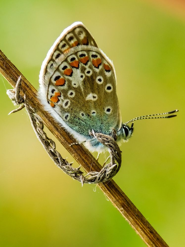 Photograph by Silja Grünberg