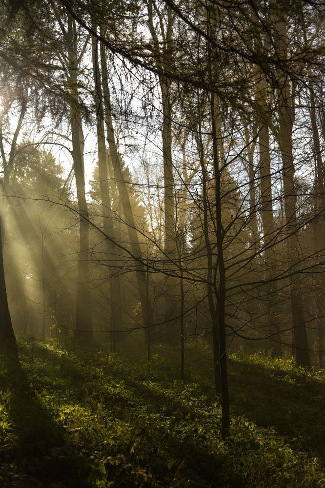 Photograph by Павел Бордунов