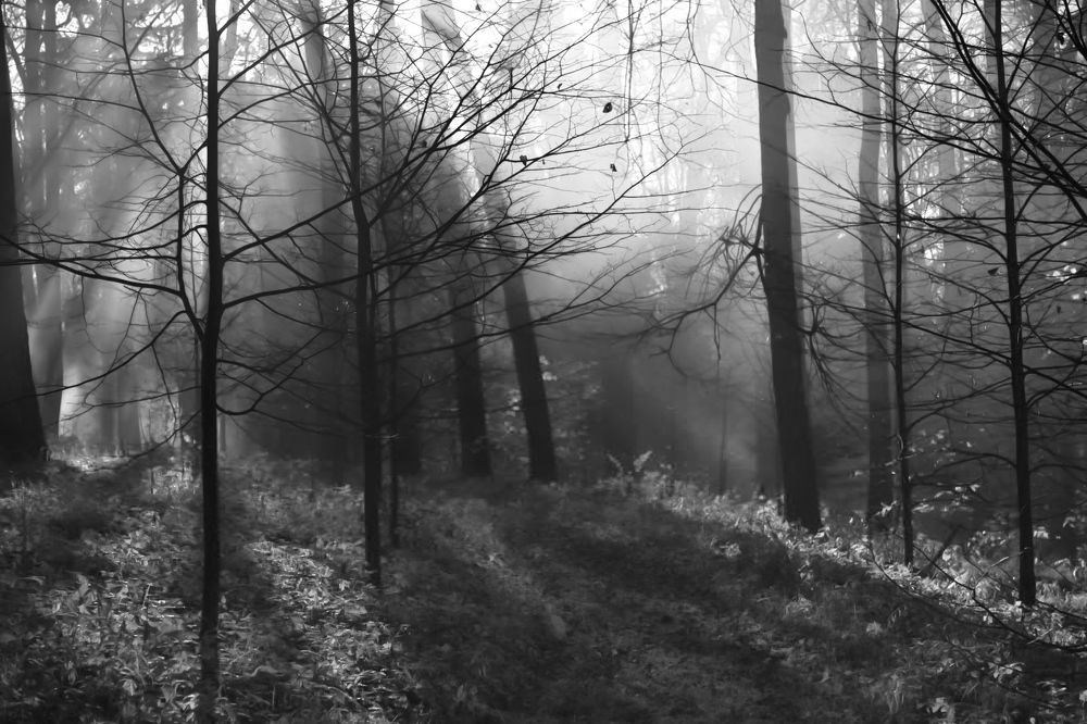 Photograph by Павел Бордунов