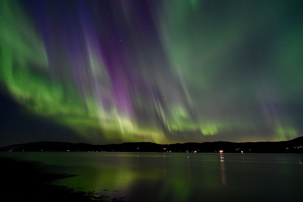 Palette of the night