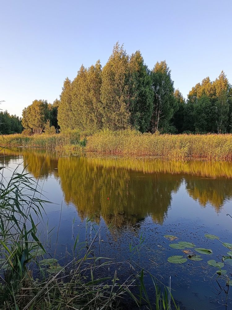 Photograph by Елена