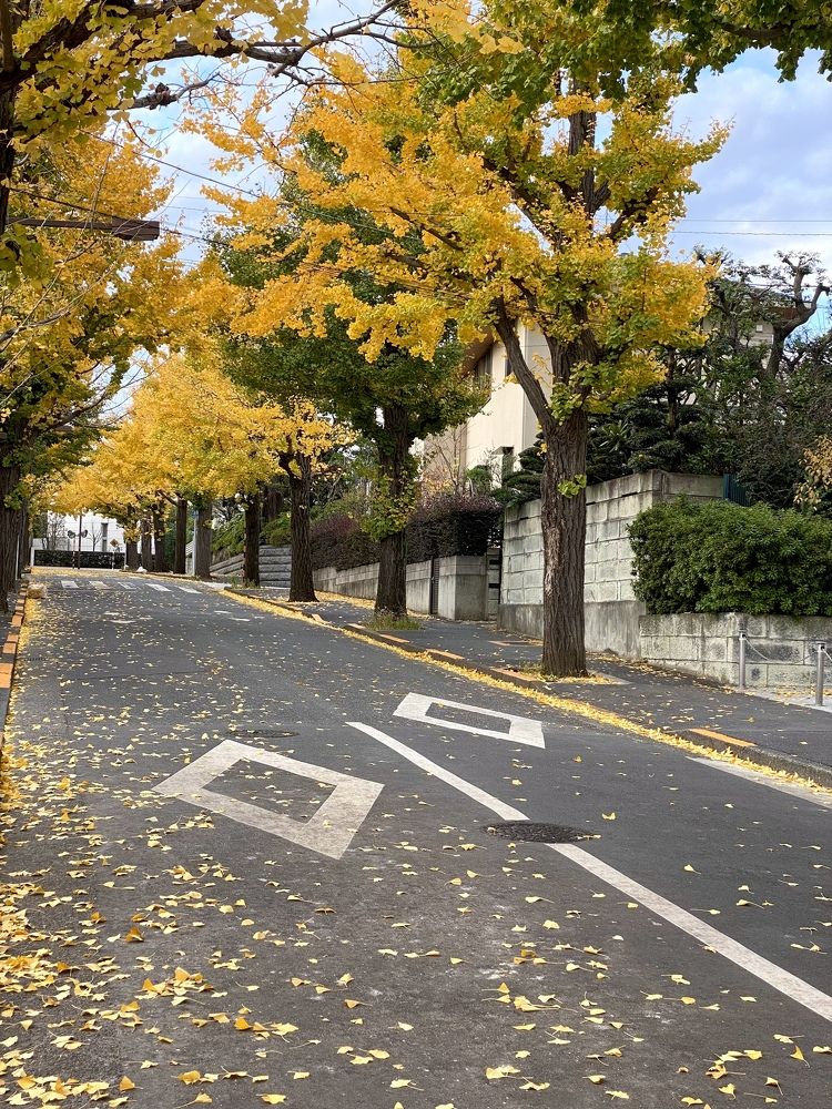 Фотография автора Бакалова Ирина