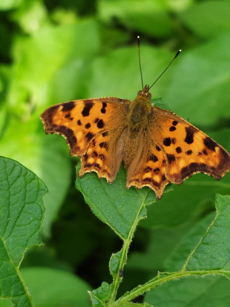 Photograph by Елена