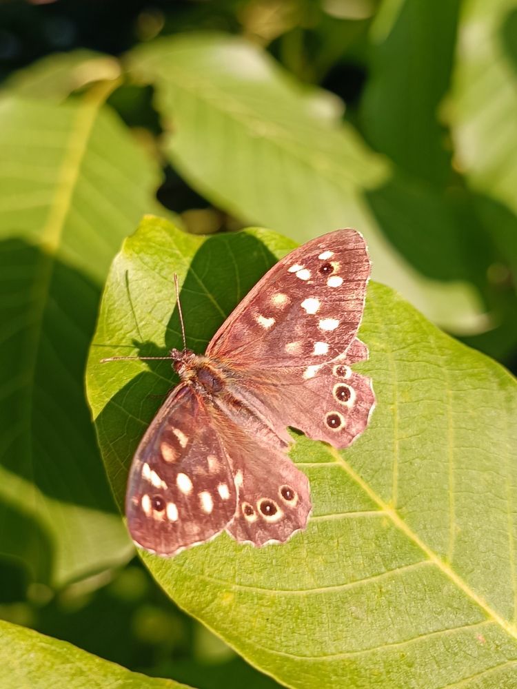 Photograph by Елена