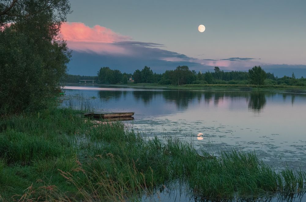 Photograph by Елена Потемина