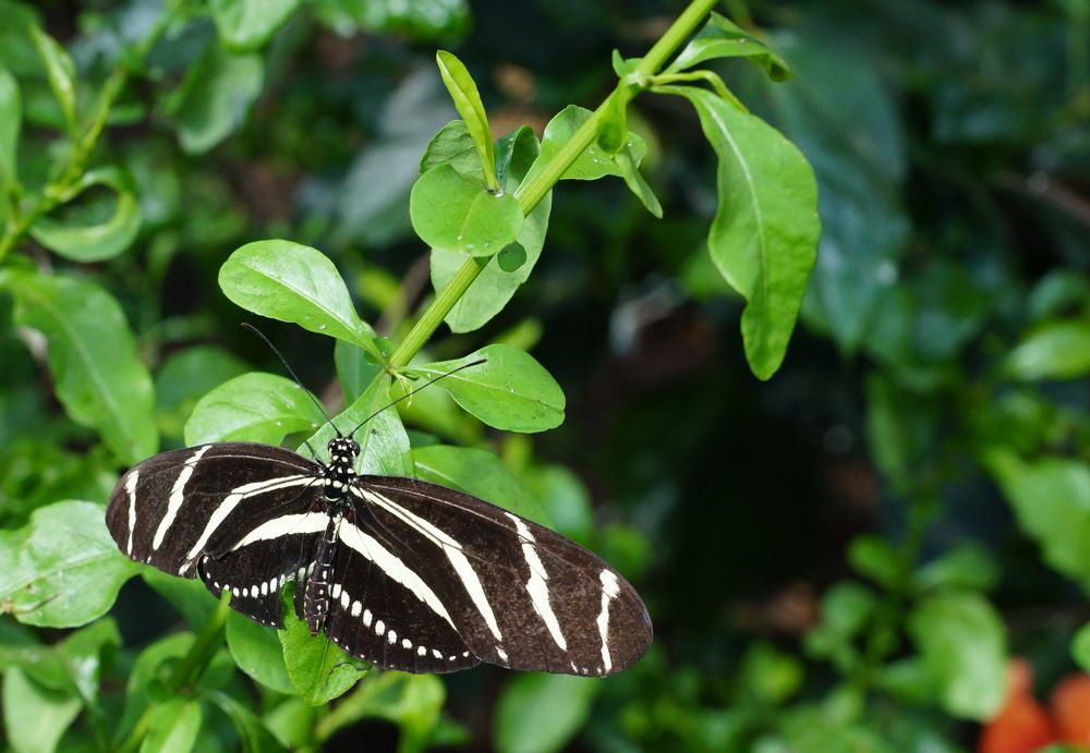 Photograph by Юрий Сычев