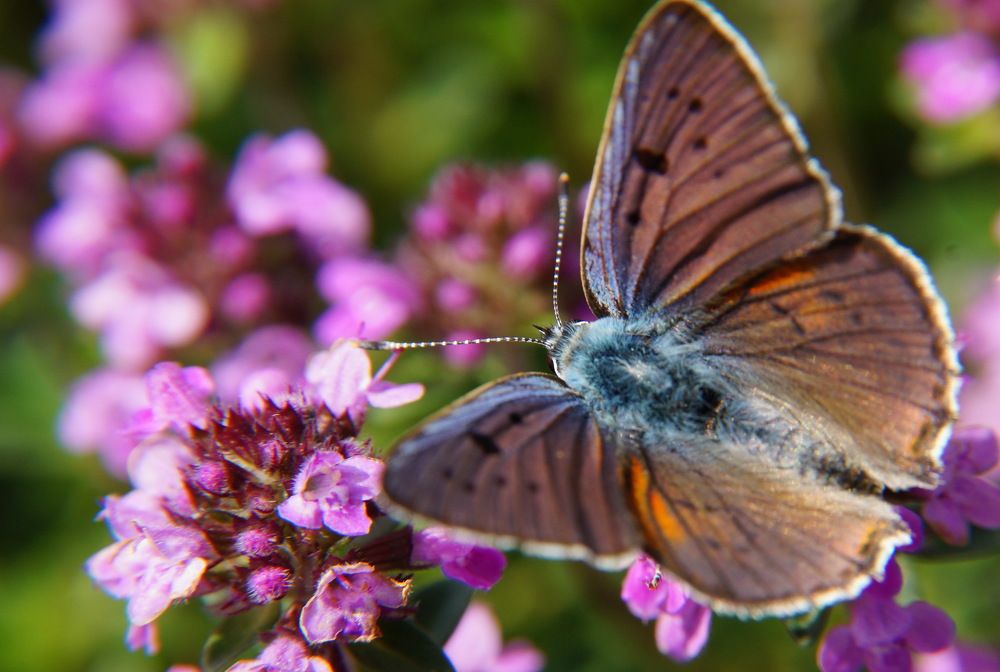 Photograph by Юрий Сычев