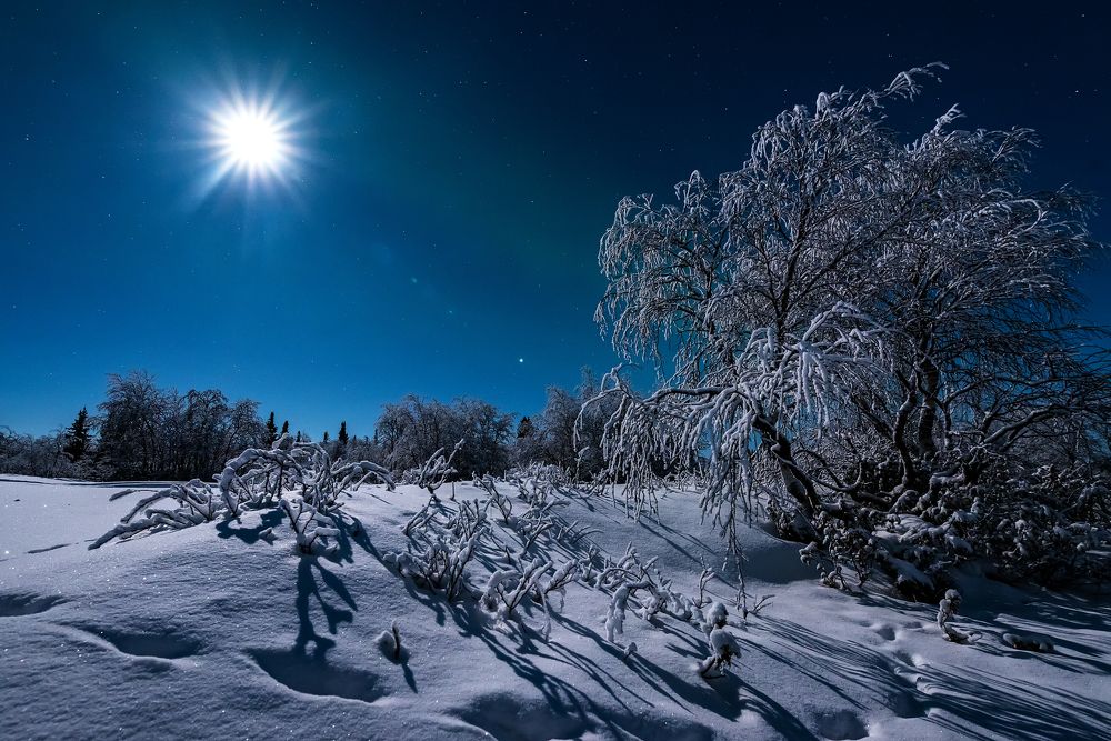 Photograph by Куликов Виктор