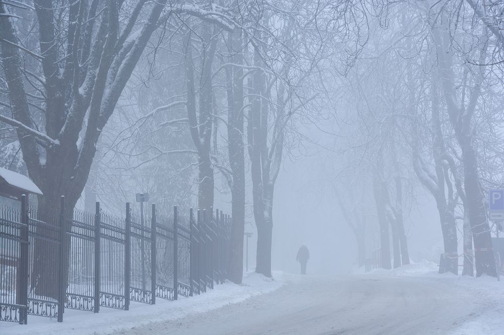 Photograph by Сергей Шварцман