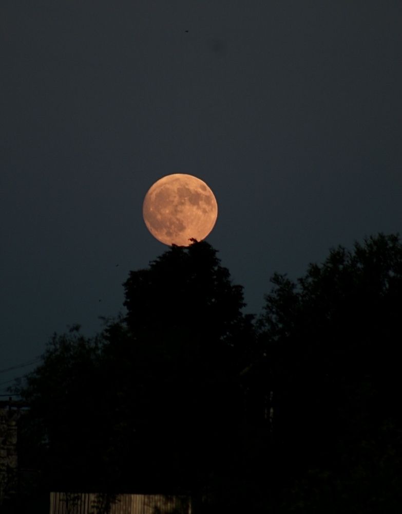 Photograph by Наталья Гусева