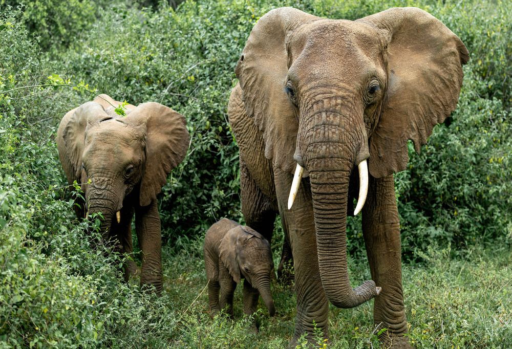 Photograph by Sergey Puponin