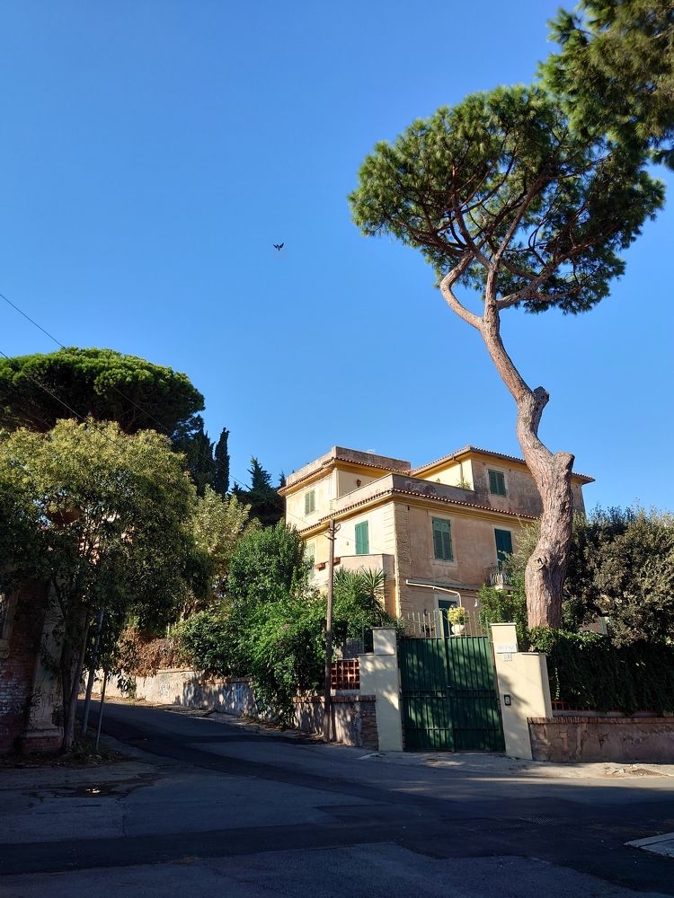 Photograph by Юрий Сычев