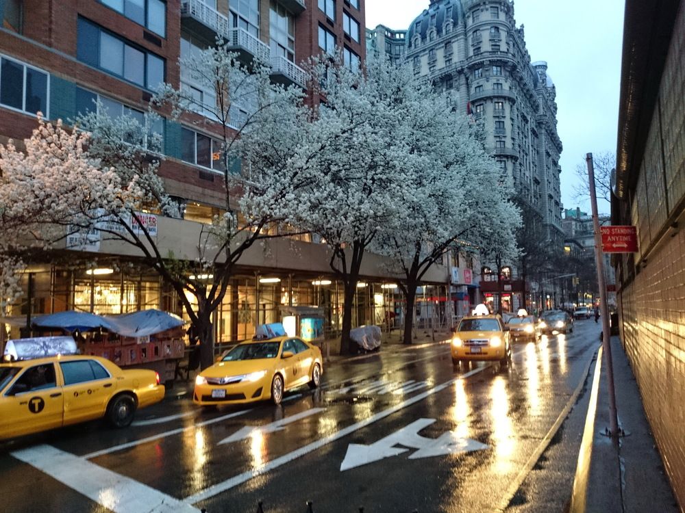 Photograph by Юрий Сычев