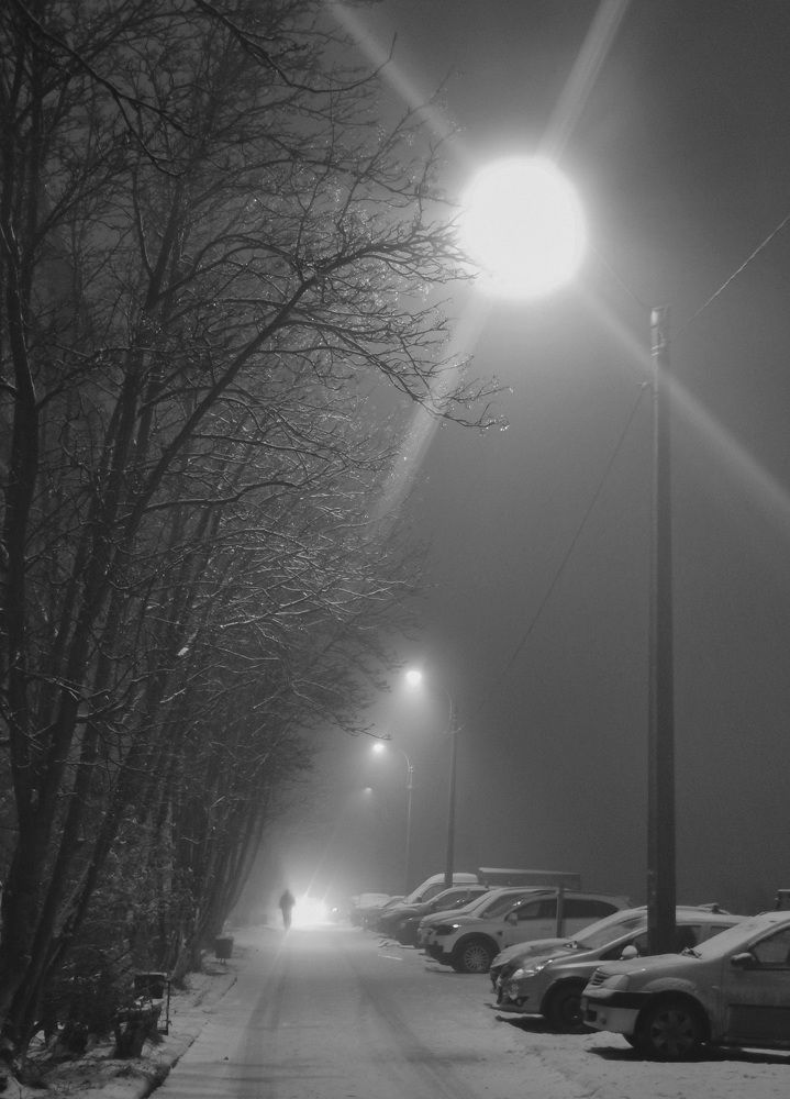 Photograph by Ева Мельникова