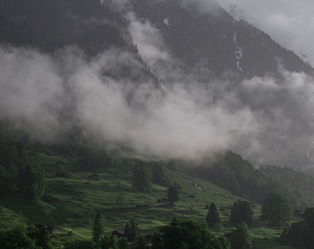 Photo #9323747